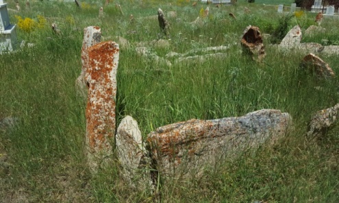 c:\users\pc\desktop\yeni klasör (2)\2015-07-16\025.jpg