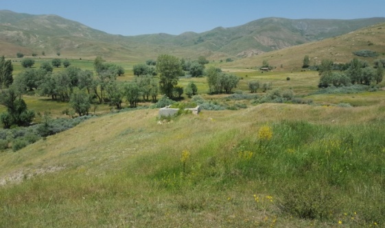 c:\users\pc\desktop\yeni klasör (2)\2015-07-16\009.jpg