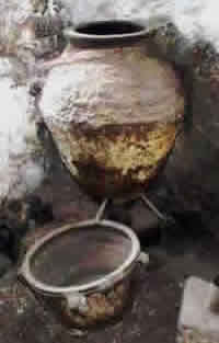 http://www.yaklasansaat.com/resimler/dunyamiz/canlilar/zeytin_resimleri/zeytin_saglik3.jpg