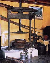 http://www.yaklasansaat.com/resimler/dunyamiz/canlilar/zeytin_resimleri/zeytin12.jpg