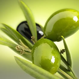 http://www.yaklasansaat.com/resimler/dunyamiz/canlilar/zeytin_resimleri/zeytin_saglik9.jpg