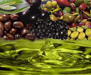 http://www.yaklasansaat.com/resimler/dunyamiz/canlilar/zeytin_resimleri/zeytinyagi.jpg